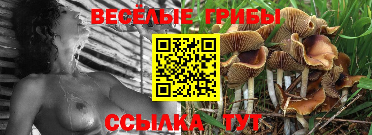 Псилоцибиновые грибы ЛСД Кизляр