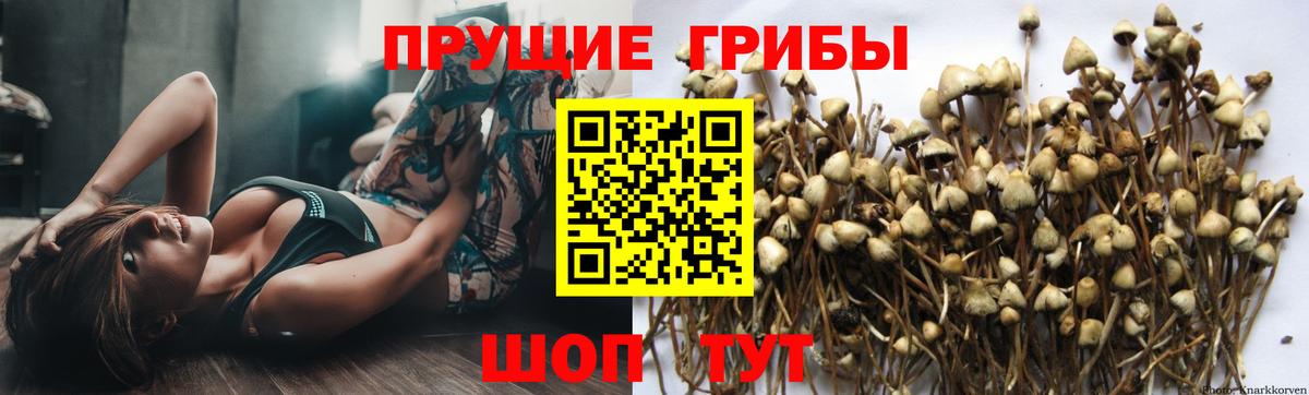 Псилоцибиновые грибы ЛСД  Вход с VPN  Кизляр 
